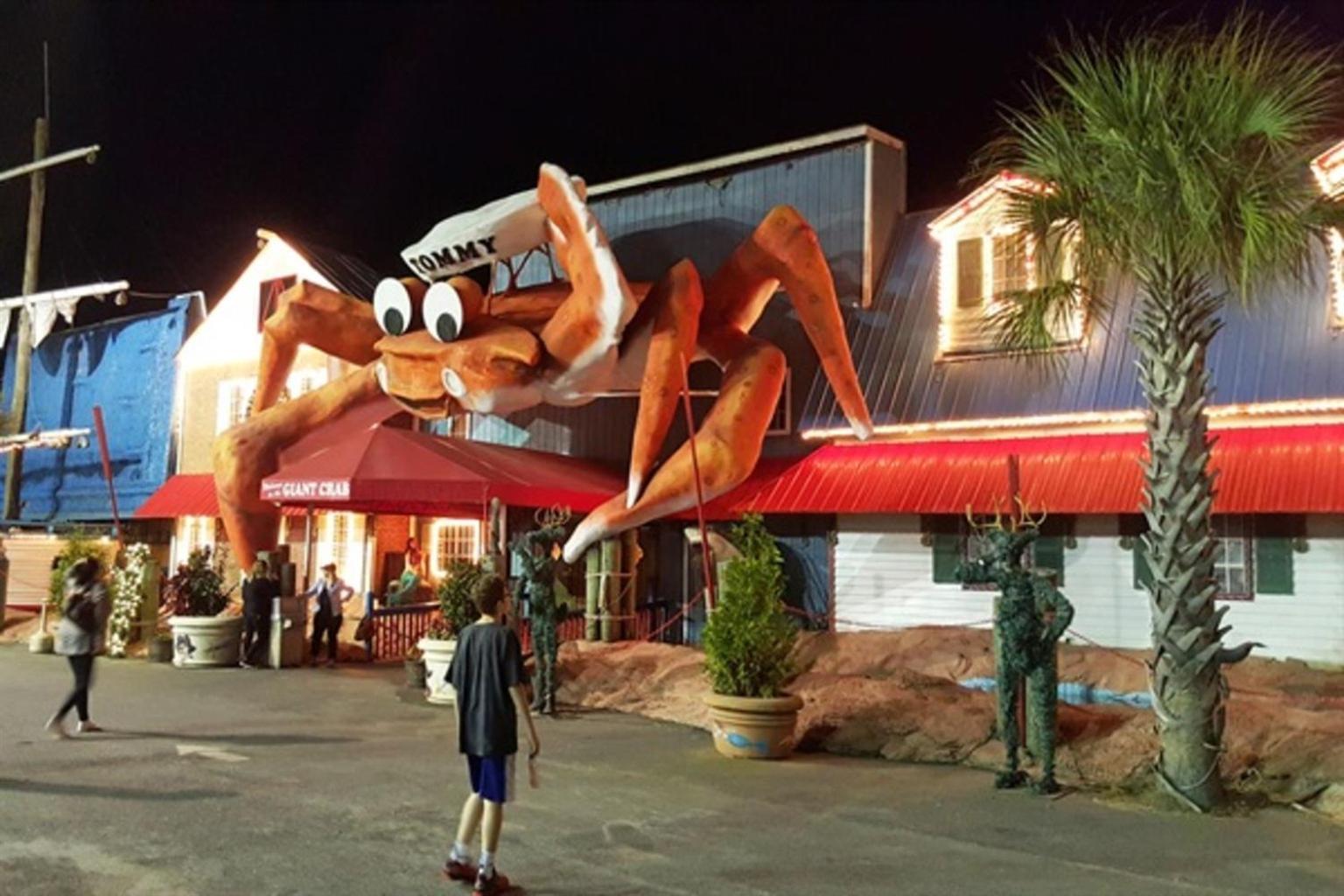 Ocean Annie'S Oceanview Studio,Scenic Views,Pools! マートルビーチ エクステリア 写真
